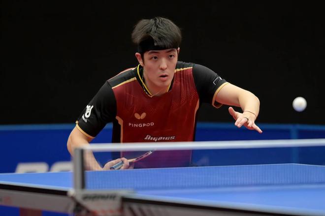 归化球员的 归化球员的