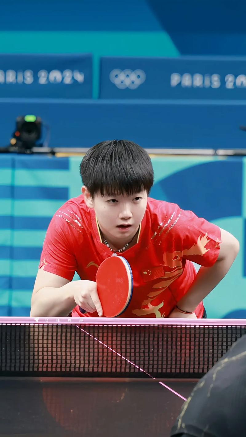 乒乓体系的
